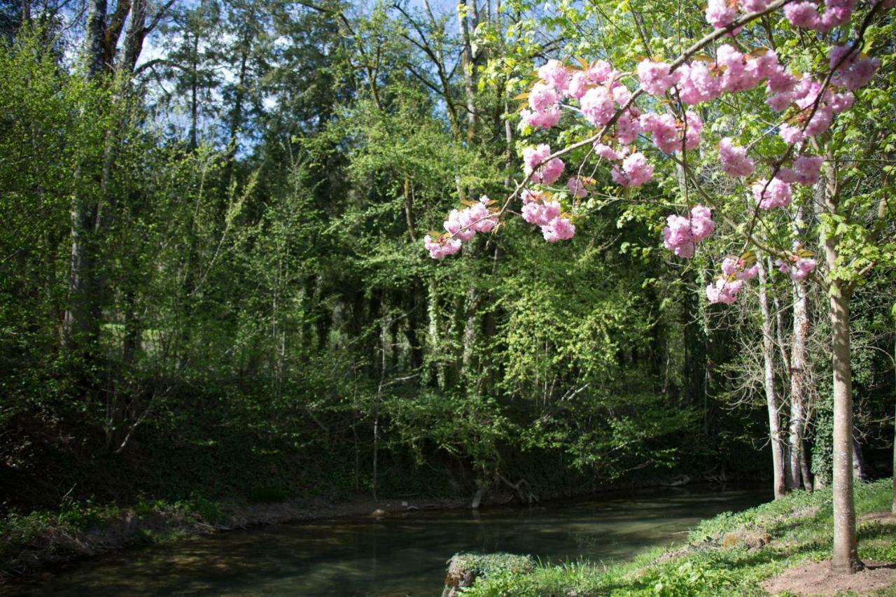 뉘생조르즈 Gite Moulin De La Serree 빌라 외부 사진